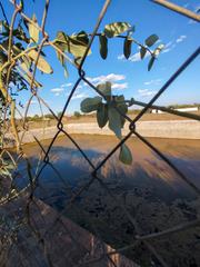 Finca rstica a Avinguda de catalunya 30. Finca de regadio