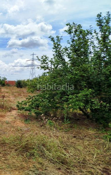 Foto 8437a507-671d-4918-85b1-0231b65b3733. Finca rústica a n/a a Vilallonga del Camp