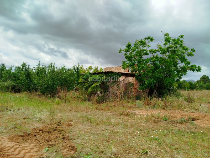 Foto ea87f909-86b0-4b1a-b799-e8873e2da278. Finca rústica a n/a a Vilallonga del Camp