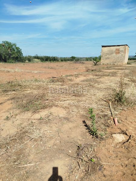 Foto aa8b47c1-c373-4ee9-bf3c-12151463d600. Finca rústica a n/a a Vilallonga del Camp