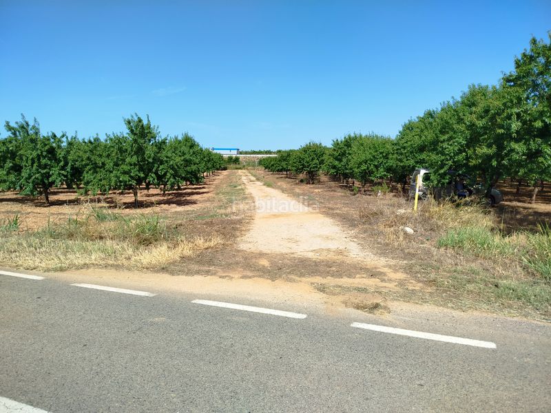 Foto 4090d8e1-521f-46c8-940d-c2e6bac47949. Finca rústica a Masó (La)