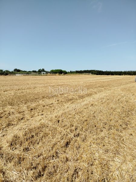 Foto cfecf905-118d-4979-a29a-76300ff16a2a. Finca rústica a Masó (La)