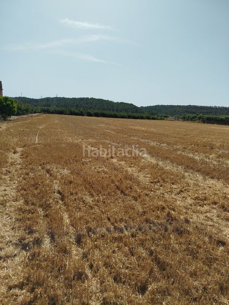 Foto fcfb9c19-35b7-497a-8926-db03c4efef5c. Finca rústica a Masó (La)