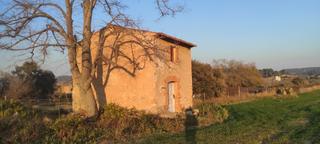 Rural plot in Carretera maso la a vallmoll 1. Finca agricola en la maso