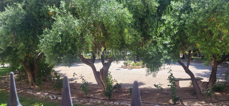 Foto c1053a84-1d74-4659-9e19-2db4f2b081fa. Affitto casa con riscaldamento piscina in Pueblo Español-Coveta Fumá Campello (el)