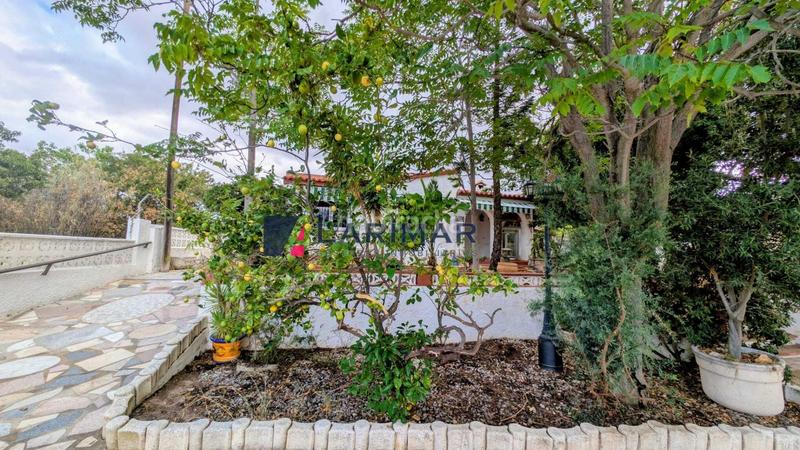 Foto 2f172e49-4d44-482d-985f-6abcfeeca9b8. Chalet  independiente alicante en Busot