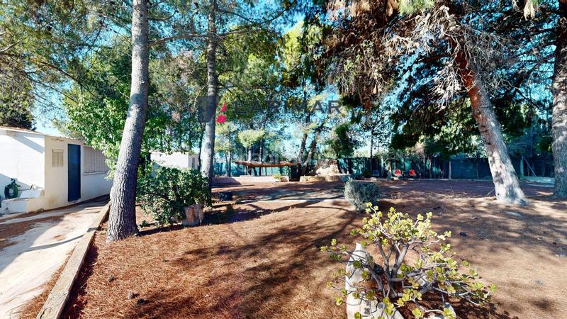 Foto c47f6f95-2f68-4d04-991d-7b3fe97cadc4. Casale in calle polígono 3 paraje 1 boqueres 9 in Sant Vicent del Raspeig