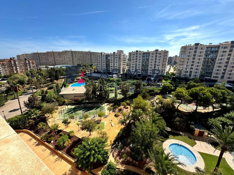 Foto 2fbdf73a-4e2f-44d4-a46d-10d4eb8c6b78. Alquiler ático  dúplex en alquiler Playa de San Juan en Alicante