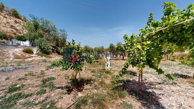 Foto 57b11e74-c9fe-4b3a-9cfc-3ce7bf114488. Xalet amb calefacció aparcament a Pedanías Este Aspe