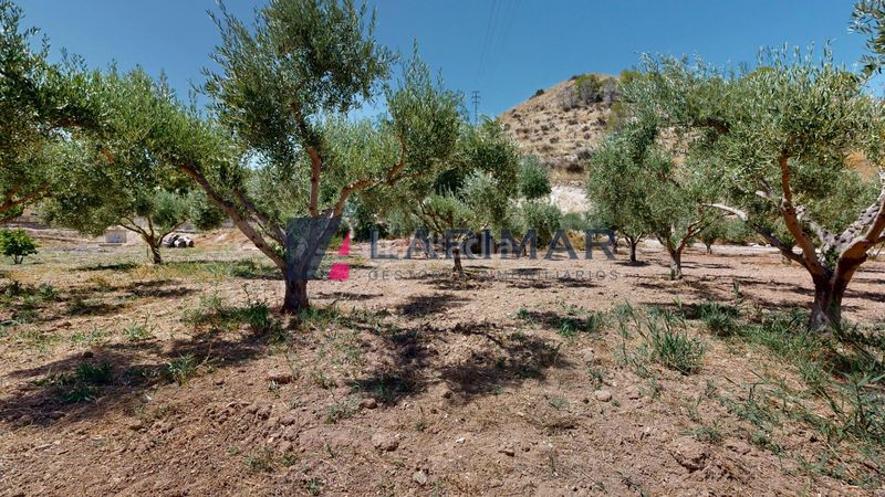 Foto e83977aa-2fe2-4ff1-8cb7-fe84e1854e7a. Xalet amb calefacció aparcament a Pedanías Este Aspe