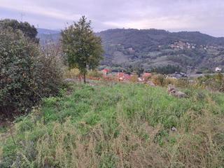 Trapasso Capannone industriale in Celanova. Fábrica de pan en funcionamiento con horno de leña y clientela c