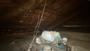 Ampliar foto ac48b59f-9a6d-42da-8352-b5c44b712d76.jpg