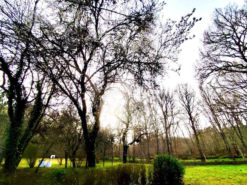 Foto 0ffc435b-69ac-4b13-8259-5bcf624b63f6. Masia a Vilamarín