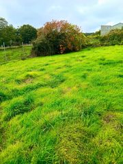 Maison à Baltar. Se vende casa sin registrar con finca de 14.000 metros en baltar