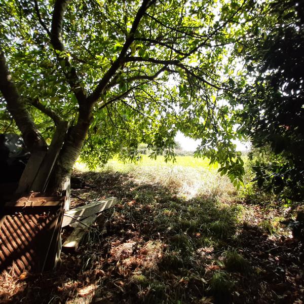 Foto 3f52fe6b-54fa-4721-9a53-d9d1a8e0c0c7. Chalet en estrada viveiro 1 vivienda unifamiliar con restaurante en o barqueiro en Mañón