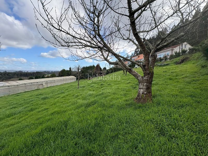 Foto 6fcf77b7-7b57-4c98-b5e4-017021caa87e. Finca rústica a Área Rural Ferrol