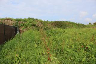Residential Plot  Aldea samoedo