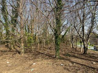 Residential Plot in Ac-116 11