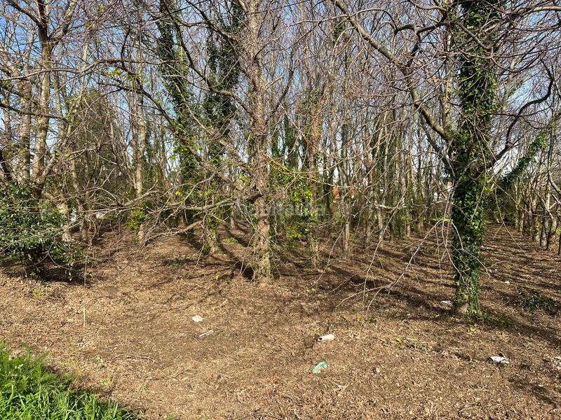 Foto 43ebbea2-e514-4544-a812-388fa394e056. Residential plot in lugar torre 12 in Valdoviño