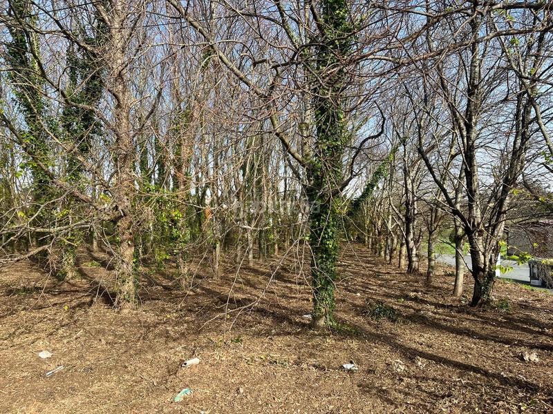 Foto 87435980-bbf8-4ac2-beb3-b1a1f70a9687. Terrain résidentiel dans lugar torre 12 dans Valdoviño