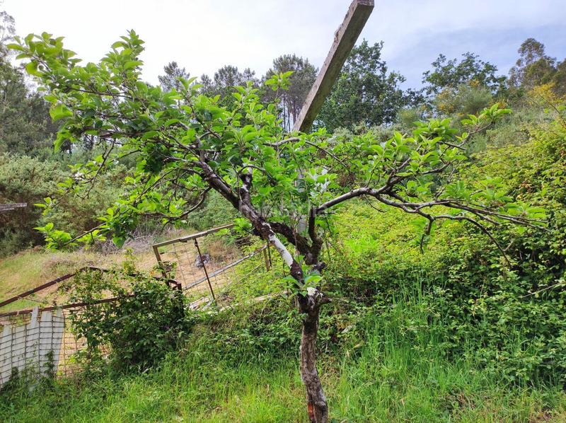 Foto e86a50e1-6285-419e-8856-9711a2fe4c13. Casa en Parroquias Rurales Culleredo