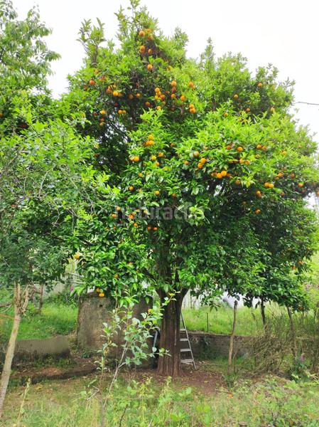 Foto 11b17108-31a9-41ba-a463-05dba2908769. House with parking in Parroquias Rurales Culleredo