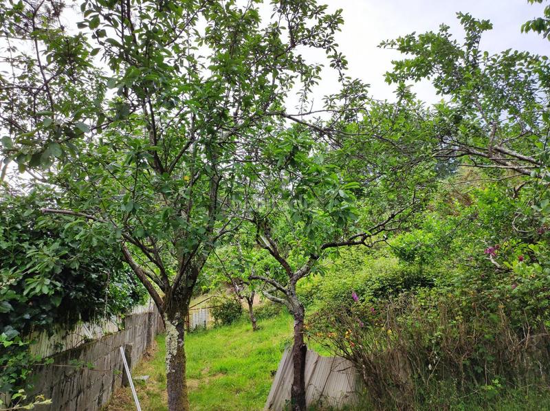 Foto d1eeb33b-b328-4745-8f82-d5b19f61c109. House with parking in Parroquias Rurales Culleredo