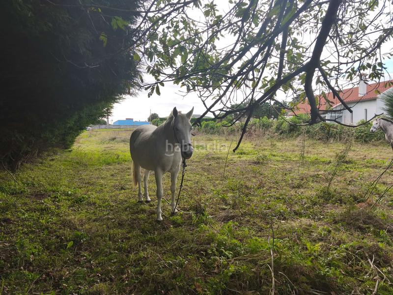 Foto 4ba366eb-bd04-4b52-bdcb-53b86e842aa7. Terreno residenziale in Área Rural Ferrol