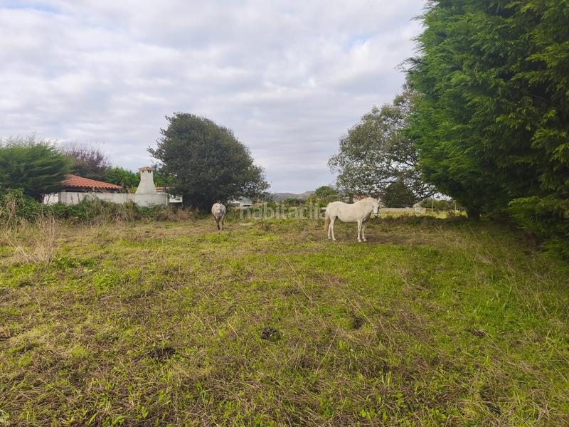 Foto 71dbf5cc-8a33-4ec6-a74a-ed253bccf65d. Terreno residenziale in Área Rural Ferrol