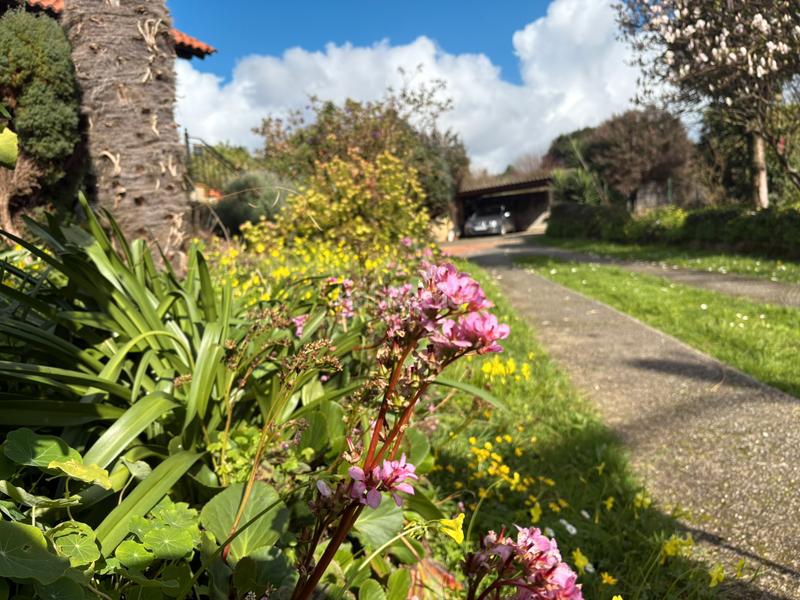 Foto 0946b135-22f8-41cc-8e6a-4524835172e1. Chalet con camino riscaldamento parcheggio in A Gándara Narón