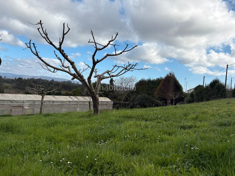 Foto 2665c603-9db5-4d97-95c1-2ba87364eb10. Terreny residencial a Área Rural Ferrol
