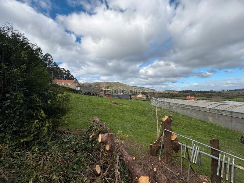 Foto d8d2a4e4-7102-4946-b366-db2952019360. Terreny residencial a Área Rural Ferrol
