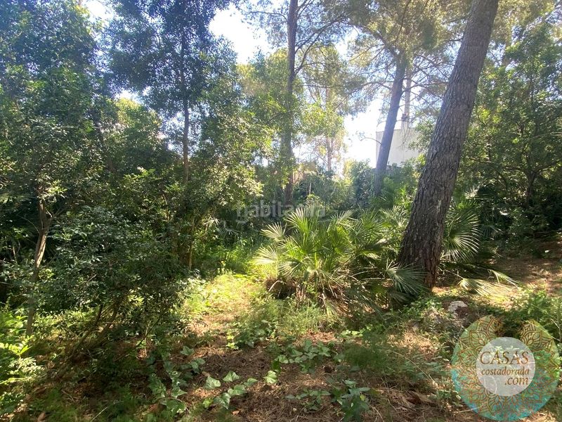 Foto 2c20a0c7-877c-4c28-bb81-ba3a7518fe64. Casa amb piscina a Les Tres Cales Ametlla de Mar (L´)