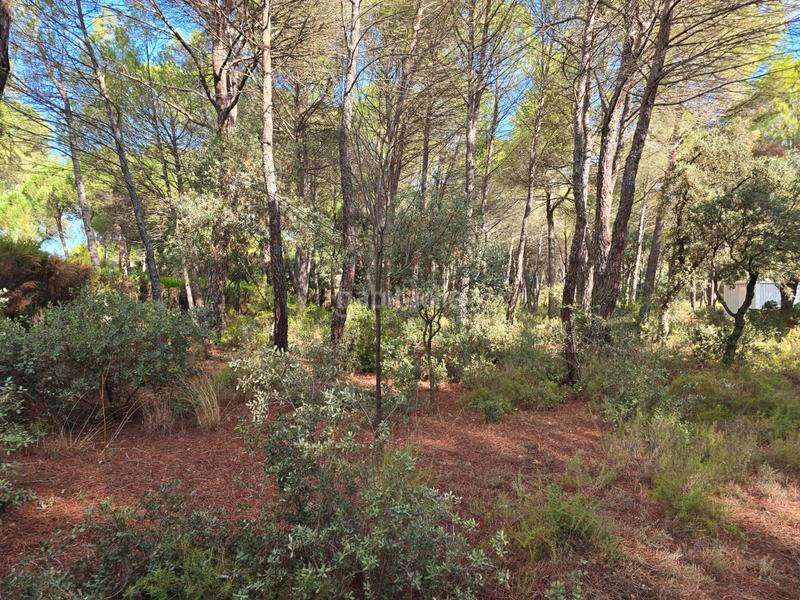 Foto 13b2285e-28a2-4d71-9001-2d8e70a33e0f. Wohngrundstück in Pedanías - Extrarradio Albacete