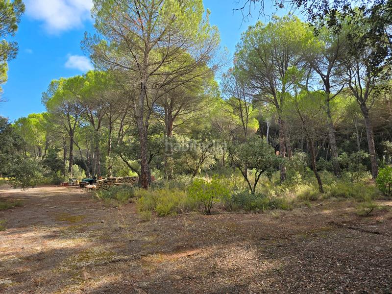 Foto 53bbbed0-e322-4042-a575-70a420c6fce1. Wohngrundstück in Pedanías - Extrarradio Albacete