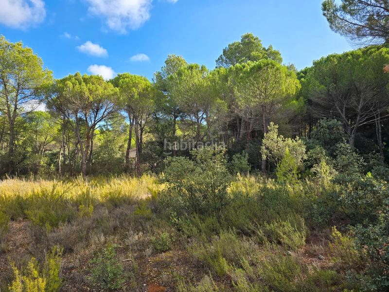 Foto 80627b75-ef27-456a-a03c-4a09b2c5ed41. Wohngrundstück in Pedanías - Extrarradio Albacete