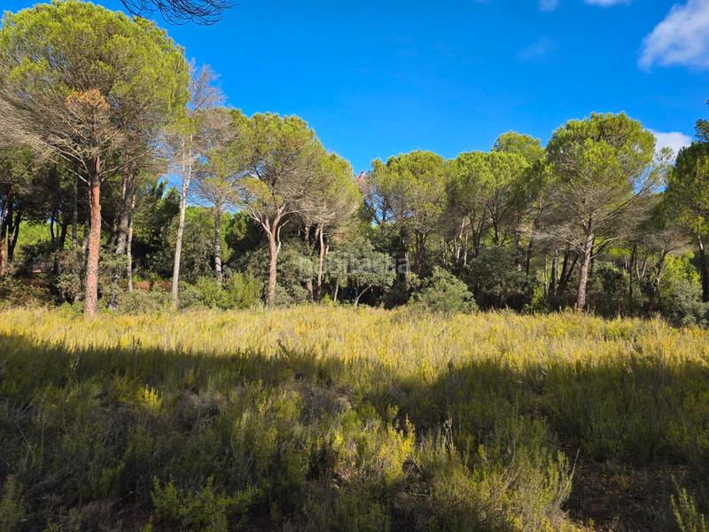 Foto a88e86ad-920f-4dfa-b18d-54ec0e32bb62. Wohngrundstück in Pedanías - Extrarradio Albacete