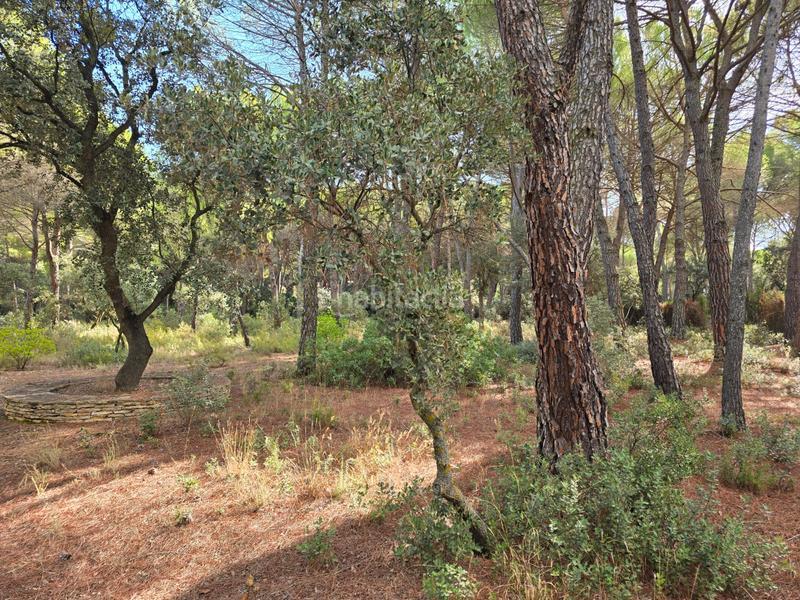 Foto cf1c1370-a55e-48f2-9be0-a28f21bd3ad1. Wohngrundstück in Pedanías - Extrarradio Albacete