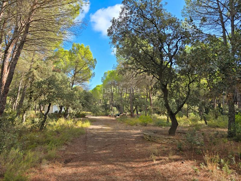 Foto e10c3806-fd0d-43fe-b42c-0ae93abb268f. Wohngrundstück in Pedanías - Extrarradio Albacete