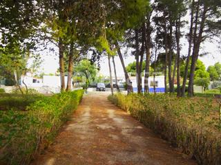 Bauernhof en Pedanas - Extrarradio. Parcela de 1500 m2 con piscina y vivienda de 1 dormitorio