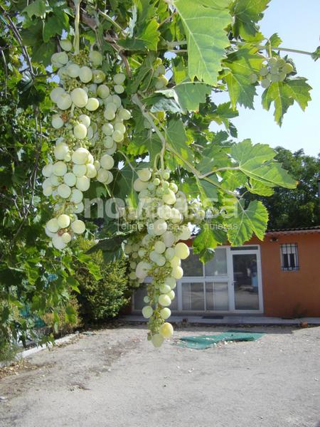Foto 00873ac6-835d-4a01-8af1-815186e3629b. Terreno residenziale in Pedanías - Extrarradio Albacete