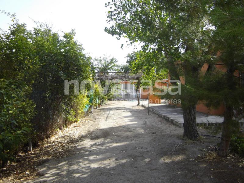 Terreny residencial a Pedanías - Extrarradio. Parcela de 1670 m2 de suelo urbano en los prados