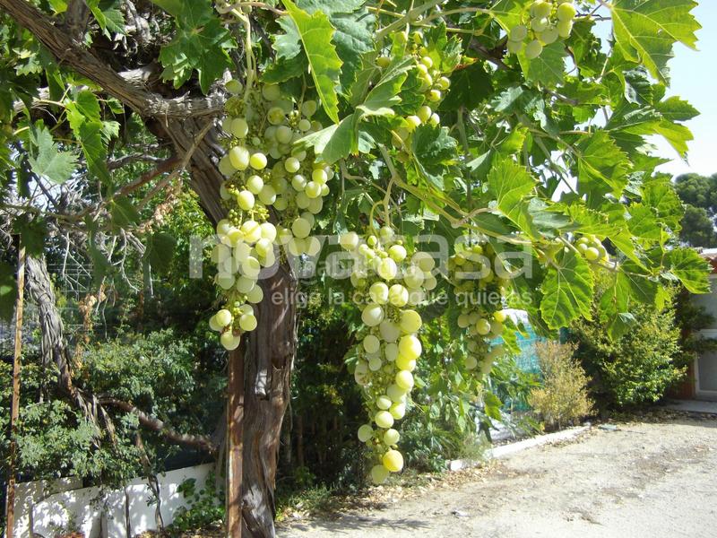 Foto 457e546a-b61e-4720-bebd-9cca786be50d. Terreno residenziale in Pedanías - Extrarradio Albacete