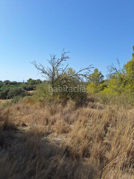 Foto 135af6c4-a12c-436f-a6fe-3b7c68668d6a. Finca rústica terreno en venta en Muro