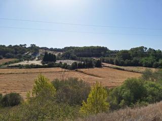 Finca rústica a Muro. Terreno en venta en muro