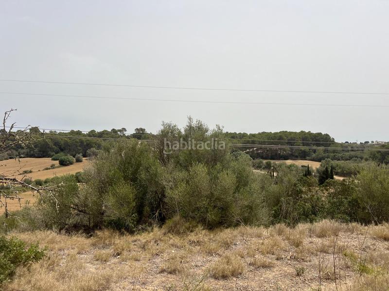 Foto 2bd7dd12-c38d-4721-be83-3b663b17c930. Finca rústica terreno en venta en Muro