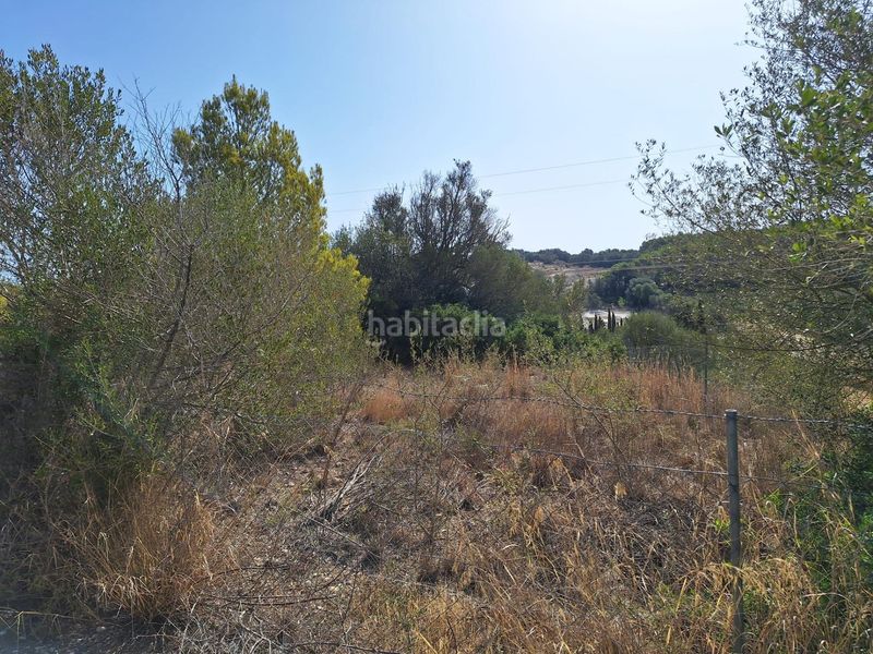 Foto 51cf064c-ddea-4961-a920-dcd2aa3089bf. Finca rústica a Muro