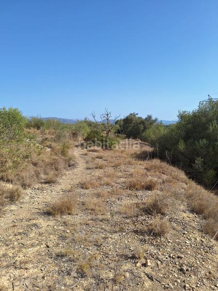 Foto 68bd8938-d5aa-439d-a693-5848f2c6becb. Finca rústica terreno en venta en Muro