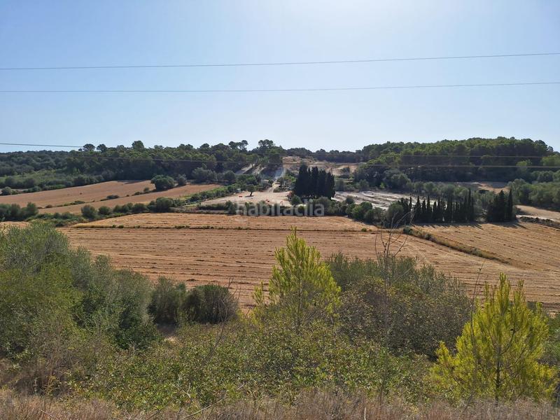 Foto 752acba8-5858-49a9-a037-dde33de91b77. Finca rústica terreno en venta en Muro