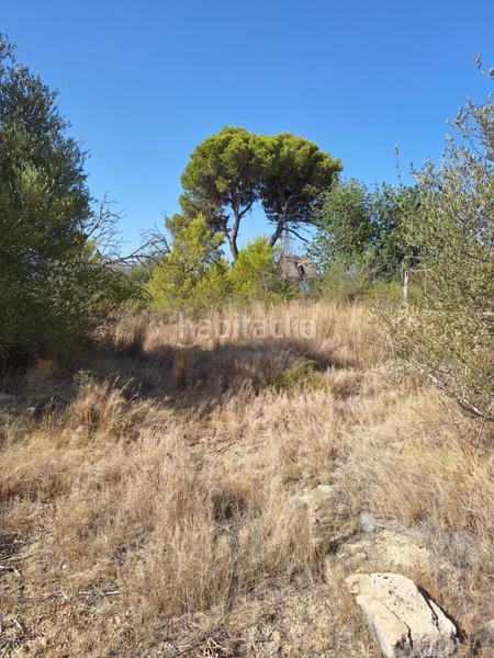 Foto 76be8a7b-6413-49fd-93c9-6ddd845ecadf. Finca rústica terreno en venta en Muro